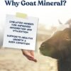 61b4sh6U8yL._AC_SL1080_.jpg Manna Pro Goat Mineral Supplement - Made with Vitamins & Minerals to Support Growth & Development - Contains Ammonium Chloride - Microbial Blend for Digestion - 8 lbs