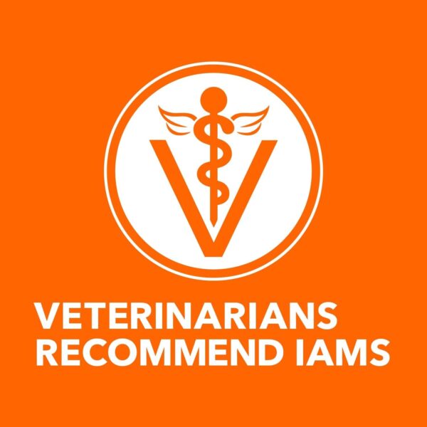 IAMS PROACTIVE HEALTH Adult Indoor Weight Control & Hairball Care Dry Cat Food with Chicken & Turkey Cat Kibble, 22 lb. Bag