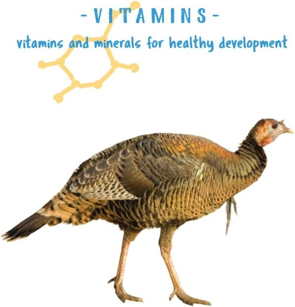61bYPBT059L._AC_SL1000_.jpg Manna Pro Gamebird Showbird Crumbles - Vitamin & Mineral Supplement for Poultry - 6-Pack of 5lbs
