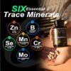 15mg Zinc Glycinate from Albion® 6 Essential Trace Bisglycinate Minerals, Manganese, Boron, Chromium, Selenium, Molybdenum Supplement, 90 Plant-Based Vegan Capsules