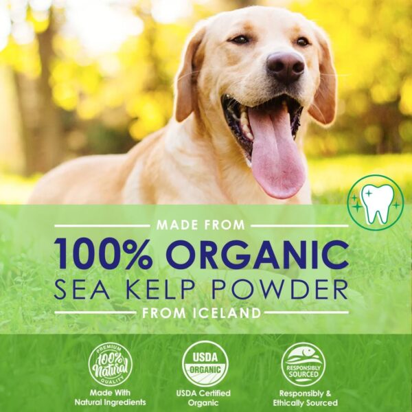 61d59V6jgjL._AC_SL1100_.jpg Dog Teeth Cleaning Powder, Dog Plaque and Tartar Remover, Bad Breath Treatment for Dogs with USDA Organic Sea Kelp Powder, Dog Dental Care Made Easy, for All Ages, 6oz