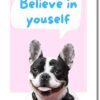 Catchyourdreams Dogs Against Anxiety Cards - 50 Cards for Self Esteem and Stress, Affirmations for Anxiety Emotions Tarot Self Therapy (Dogs Against Anxiety)