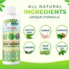 1 Day Colon Liquid Cleanse Formula and Liver Detox - Vegan Friendly, Helps Healthy Digestion, Gut Support, Boost Energy Levels and Bowl Movements | 8 Fl Oz