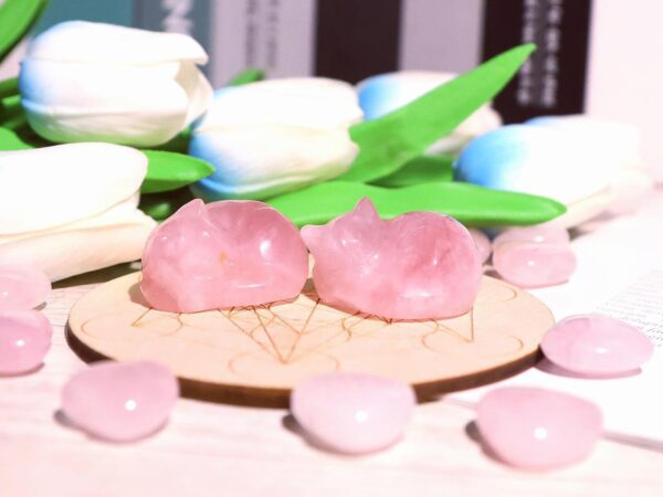 QINJIEJIE Rose Quartz Cat Decor Pink Gift Crystals Sleeping Cat Statue Stone Figurine Carved Polished Gemstones Decors Office Room Home Desk Lucky Healing Valentines Decoration for Women Cat Lover