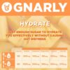Gnarly Nutrition Hydrate Electrolyte Powder – Orange Pineapple Exercise Hydration Drink Mix – NSF Sport Certified – Electrolyte Solution, Performance & Recovery – Orange Pineapple, 14.10 oz
