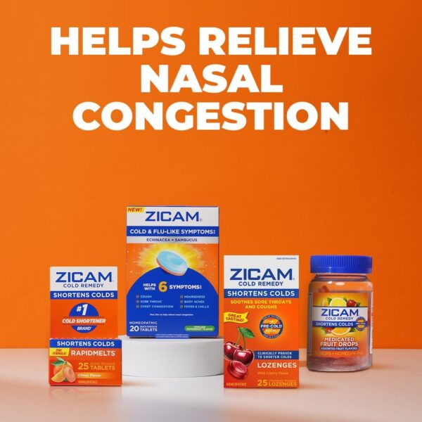 Zicam Cold Remedy Zinc Rapidmelts, Citrus Flavor, 25 Count (Pack of 1)