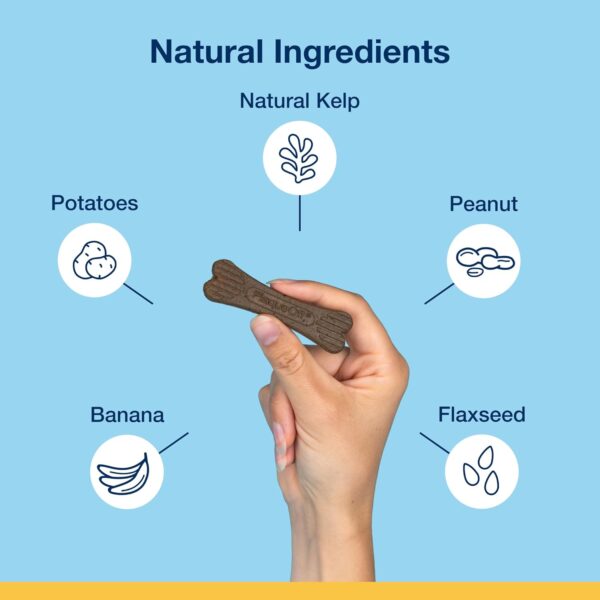 Proden PlaqueOff Sytem Mini Dental Care Bones - Peanut Butter Banana - 12 oz, Brown