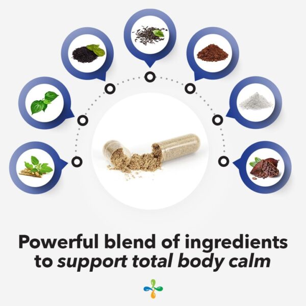 Anxie-T Plus - Extra Strength Stress Relief Supplement - Supports Mood & Mental Focus - Feel Calm and Relaxed - Eases Tension & Nervousness - Ashwagandha, Kava Kava, GABA & L-Theanine - 60 Capsules