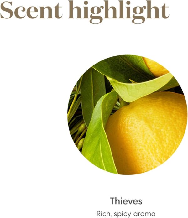 Young Living Thieves Essential Oil Blend | 5 ml | Lemon, Clove, Eucalyptus, Cinnamon Bark, Rosemary | Versatile for Diffusers, Topical Application, Freshening Spaces, Daily Wellness, and Home Care