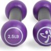 Zumba 2.5 lb Dumbbells Set of 2 - Hand Weights for Women, Dumbbells for Women at Home, Workout Weights Dumbbells Set, Purple Exercise Weights - Small Weights for Women, At Home Fitness