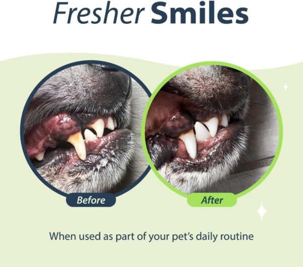 Dental Fresh Water Additive for Cats, Original Formula, 8 oz – Cat Breath Freshener – Products for Cats to Help Overall Cat Dental Health