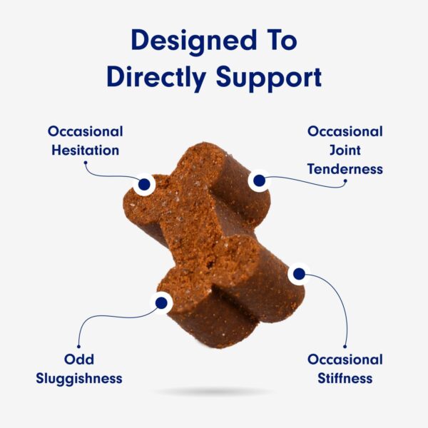 PetLab Co. Joint Care Chews for Dogs - High Levels of Glucosamine, Green Lipped Mussels, Omega 3 and Turmeric - Hip and Joint Supplement for Dogs to Actively Support Mobility