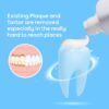 Tartar Control Toothpaste for Tartar Removal: Plaque Remover - Plaque Remover for Teeth - Tartar Remover for Teeth - Hard Plaque Remover - Plaque Toothpaste - Removes Plaque, Prevents & Reduces Tartar
