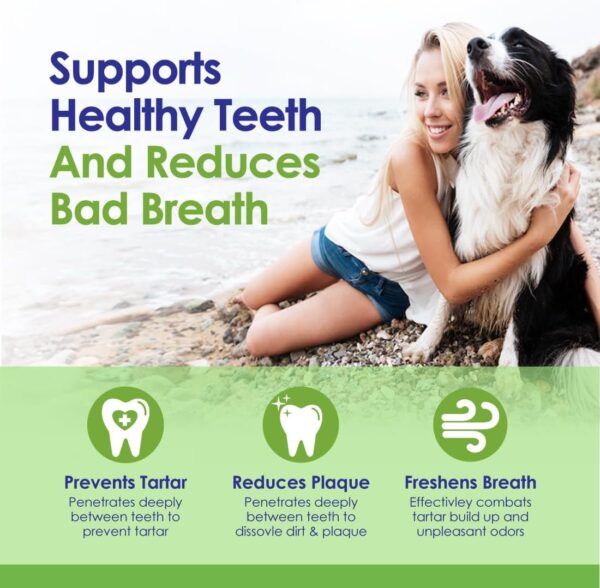 61oFWghGIXL._AC_SL1100_.jpg Dog Teeth Cleaning Powder, Dog Plaque and Tartar Remover, Bad Breath Treatment for Dogs with USDA Organic Sea Kelp Powder, Dog Dental Care Made Easy, for All Ages, 6oz