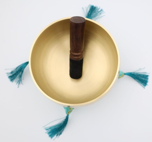 Tibetan Singing Bowl Set, Golden Master Bell Metal Grade, 6 Inches Pure Tone, Very Easy to Sing for Meditation Sound Chakra Yoga Healing, The Be Quiet Bowl by Circle Up (Mallet & Cushion Included)