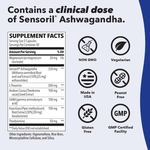 Anxie-T Plus - Extra Strength Stress Relief Supplement - Supports Mood & Mental Focus - Feel Calm and Relaxed - Eases Tension & Nervousness - Ashwagandha, Kava Kava, GABA & L-Theanine - 60 Capsules