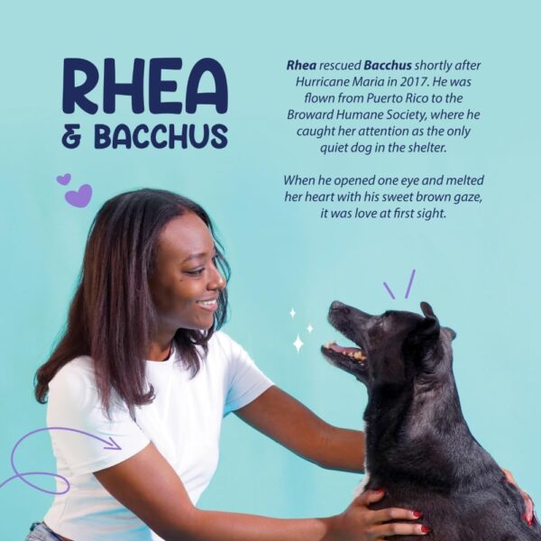 Dental Fresh Water Additive for Dogs, Original Formula, 17oz – Dog Breath Freshener and Teeth Cleaning for Dental Care– Add to Water