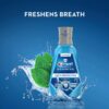 Crest Pro-Health Advanced Mouthwash, Alcohol Free, Multi-Protection, Fresh Mint, 1 L (33.8 fl oz), Pack of 2, Crest Mouthwash, Mouthwash Alcohol Free, Flouride Mouthwash