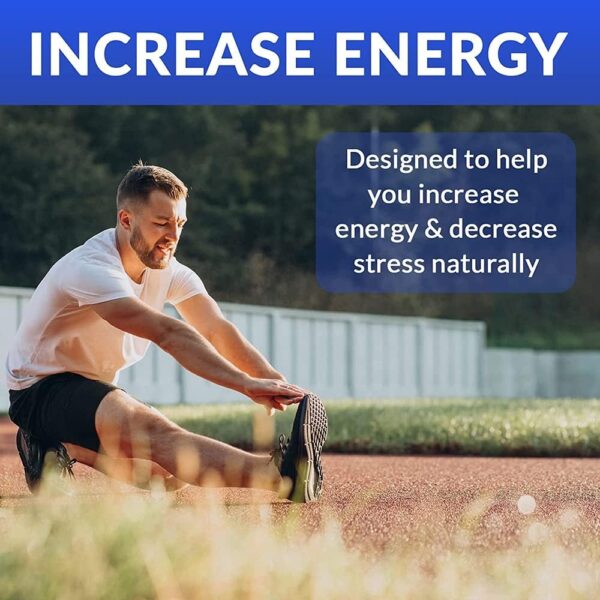 Performance Blend, Best Multivitamin for Men, Vitamin and Mineral Supplement with Probiotics, Superfood Enzyme Blend for Optimized Heart, Prostate, Stamina, Energy, Non-GMO, 60 Day Supply