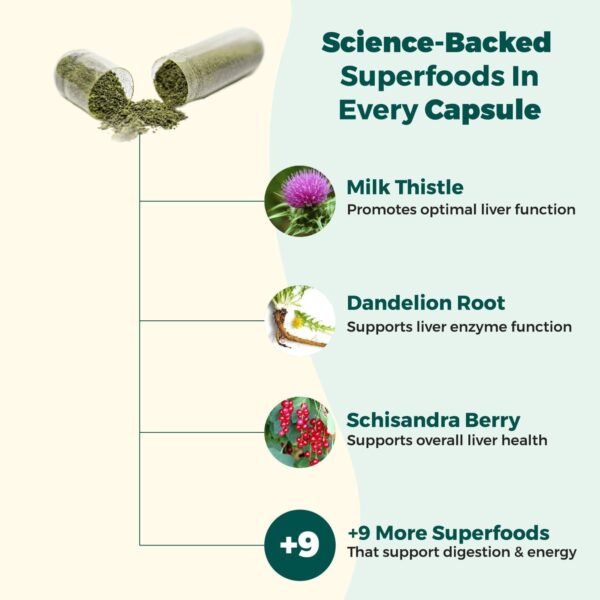 AlphaCleanse | Liver Health and Detox Blend Made with 12 Organic Superfoods. Milk Thistle, Dandelion Root, Burdock Root. Formulated for Detox Support, Liver, Digestive Health.