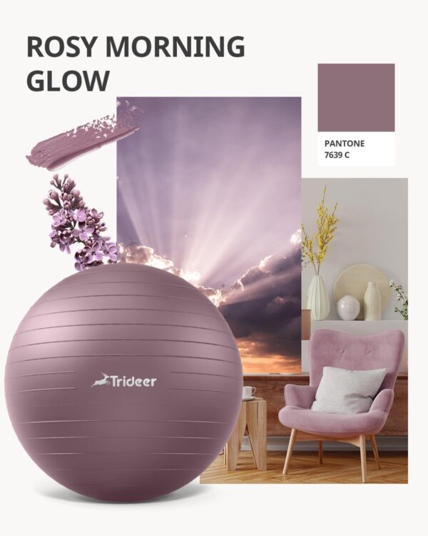 Trideer Yoga Ball - Exercise Ball for Workout pilates Stability - Anti-Burst and Slip Resistant for physical therapy, Birthing, Stretching & Core Workout, Office Ball Chair, Flexible Seating, Home Gym