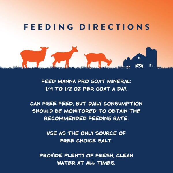 61tCXVv1Z2L._AC_SL1080_.jpg Manna Pro Goat Mineral Supplement - Made with Vitamins & Minerals to Support Growth & Development - Contains Ammonium Chloride - Microbial Blend for Digestion - 8 lbs