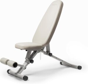 Fitness Bench, Adjustable, Collapsible, Comfortable, and Luxurious Home Gym Bench for Strength Training