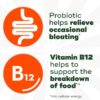 Align Probiotic Bloating Relief + Food Digestion, Probiotics for Women and Men, Promotes Digestive Health and Helps Support the Metabolism of Food*, 28 Capsules (Packaging May Vary)