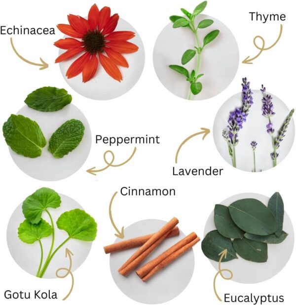 61wUh2hVNkL._AC_SL1000_.jpg Dental Herb Company - Under The Gums Irrigant Concentrate (4 oz.) for Oral Irrigators