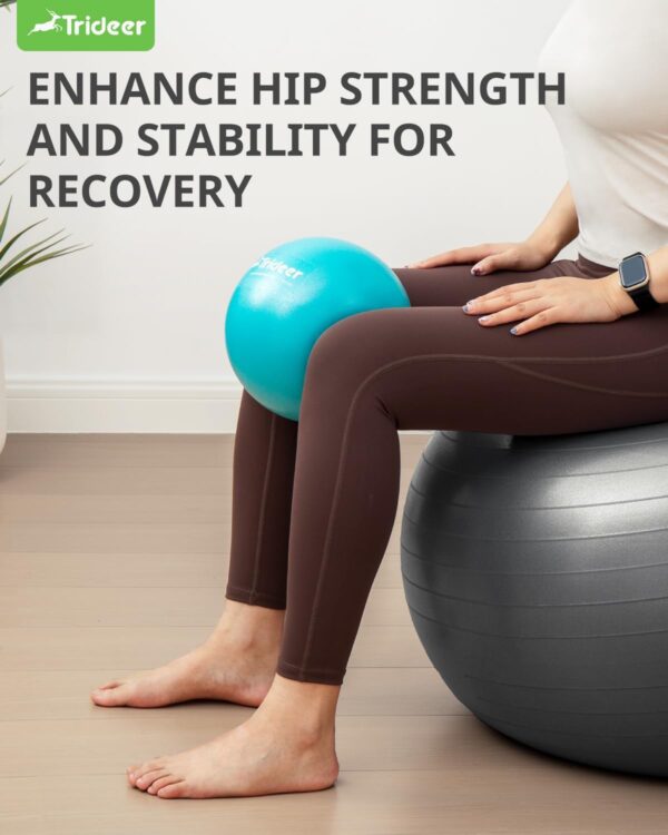 Trideer Pilates Ball 9 Inch with Pump,Core Ball, Mini Pilates Ball for Physical Therapy,Small Exercise Ball Between Knees,Small Workout Ball for Barre,Yoga,Stability,Workout,Office&Home Gym