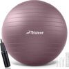 Trideer Yoga Ball - Exercise Ball for Workout pilates Stability - Anti-Burst and Slip Resistant for physical therapy, Birthing, Stretching & Core Workout, Office Ball Chair, Flexible Seating, Home Gym