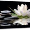 LZIMU Zen Canvas Wall Art White Lotus and Black Zen Stones Bloom in Water Picture Prints for Yoga Spa Meditation Spiritual Room Bathroom Decor (Zen-1, 16"x24")