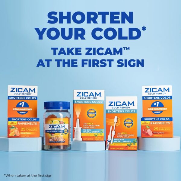 Zicam Cold Remedy Zinc Rapidmelts, Citrus Flavor, 25 Count (Pack of 1)