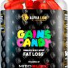 ALPHA LION Gains Candy, Supplement Pills That Support Weight Loss, Appetite Suppressant, Keto-Diet Friendly, Decrease Body Fat, Upgrade Energy & Workout Performance, 60 Capsules (MitoBurn®)