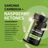 Green Tea Weight Loss Pills for Women & Men | 45% EGCG | Stomach Fat Burner, Metabolism Booster & Appetite Suppressant | Green Tea Fat Burner Diet Pills | Vegan Weight Loss Supplements | 60 Ct