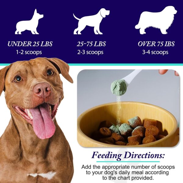 Dog Teeth Cleaning Powder - Dog Dental Powder - Dog Breath Freshener - Targets Tartar & Reduces Plaque & Bad Breath - Teeth Cleaning Made Easy Eliminate - Formulated for Small, Medium, Large Dogs