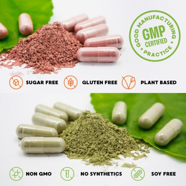 Simply Nature's Promise - Packed with Over 40 Different Fruits & Vegetables - 4 Month Supply- Made with Whole Food Superfoods - with Aloe Vera – 100% Soy Free - 720 Capsules