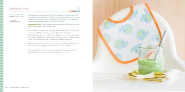 The Big Book of Organic Baby Food: Baby Purées, Finger Foods, and Toddler Meals For Every Stage (Organic Foods for Baby and Toddler)