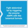 Life Extension AMPK Metabolic Activator, hesperidin, G. pentaphyllum, fight unwanted belly fat & revitalize cellular metabolism, gluten-free, non-GMO, 30 Vegetarian Tablets