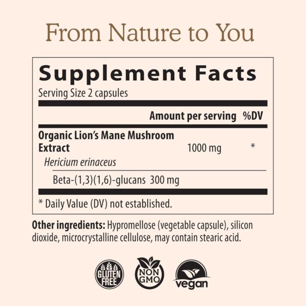 71114GotGpL._AC_SL1500_.jpg Lions Mane Mushroom Cognition Capsules (120 Capsules) Lions Mane Mushroom Powder Extract Capsules | Brain Supplement, Brain Vitamins, Focus Supplement