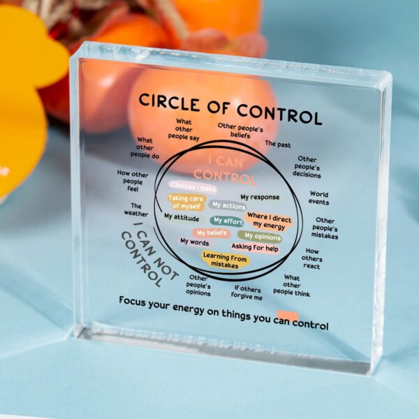 Mental Health Things I Can Control Decor - Therapy Office Acrylic Gifts - Psychology Art Decor for Treatment Room Office School Classroom - Art Decorations for Therapist Office Living Room Bedroom