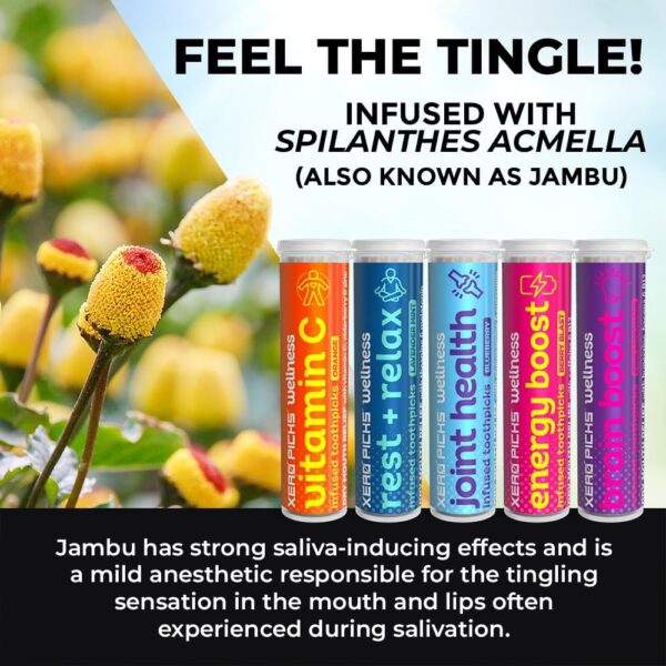 Xero Picks Wellness - Flavored Toothpicks -100 Picks-Variety 5 Pack-Curcumin, Glucosamine, Huperzine, Bacopa, B12, Elderberry, Vitamin C, Zinc, B6, Melatonin, Theanine