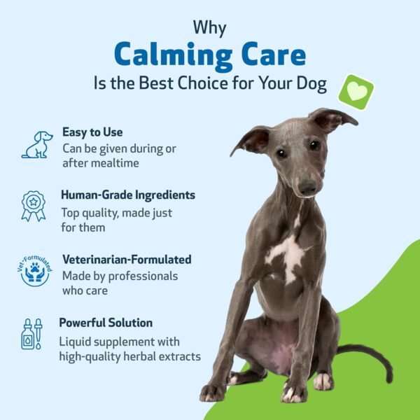 Pet Wellbeing Calming Care for Dogs - Calm Support, Relaxed Nervous System, Emotional Balance, Adaptogens, Ashwagandha, Holy Basil - Veterinarian-Formulated Herbal Supplement 2 fl oz (59 ml)