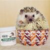 7125C55oOcL._AC_SL1500_.jpg Hedgehog Booster - Complete Multivitamin - Powdered Vitamin & Mineral Supplement for Pet Hedgehogs (2 oz.)