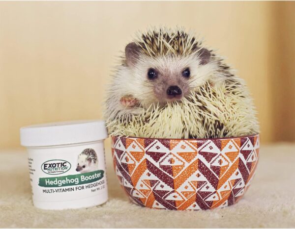 7125C55oOcL._AC_SL1500_.jpg Hedgehog Booster - Complete Multivitamin - Powdered Vitamin & Mineral Supplement for Pet Hedgehogs (2 oz.)