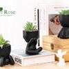 Der Rose 3pcs Fake Succulents Plants Artificial for Black Bathroom Bedroom Home Room Decor Aesthetic Indoor