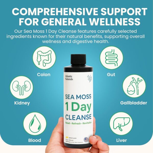 Atlantic Naturals - 1 Day Colon Cleanse Full Body Detox Drink - Sea Moss Supplement for Women & Men, Gut Health, Kidney & Liver Immune Energy Enhancer Gut Cleanse - Lemon Flavor Juice, 8 fl oz