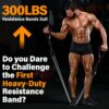 Heavy Resistance Bands for Working Out, 300LBS Exercise Bands with Handles, Workout Bands for Men, Weight Fitness Bands Set for Muscle Training, Strength, Slim, Yoga, Home Gym Equipment