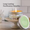 Magnificent 101 Long Lasting Pure White Sage Candle - 6 Oz - 35 Hour Burn Time | Organic, All Natural, Soy Candle to Cleanse Your Home & Calm, Soothe, Use with Sage Smudge Kit
