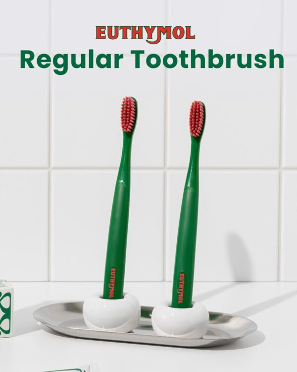 Euthymol Toothbrush (Regular, 6 Count) - Standard-Sized, Curved Soft Bristles for Sensitive Teeth, Gums. Effective, Gentle Cleaning for Entire Family.